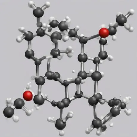 Profile Image of the Author